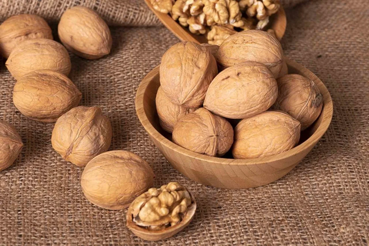 Sakarya Kabuklu Ceviz Satışı